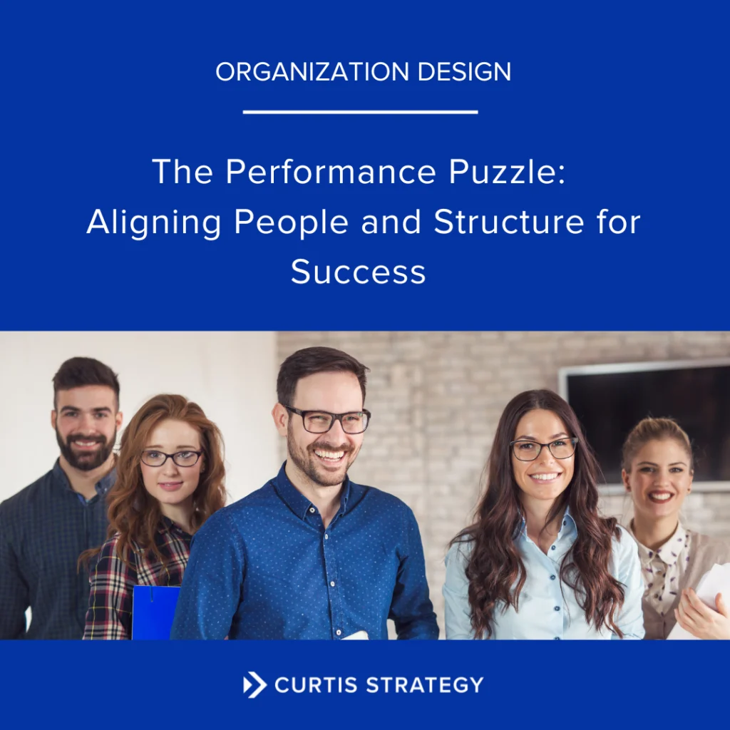 The Performance Puzzle