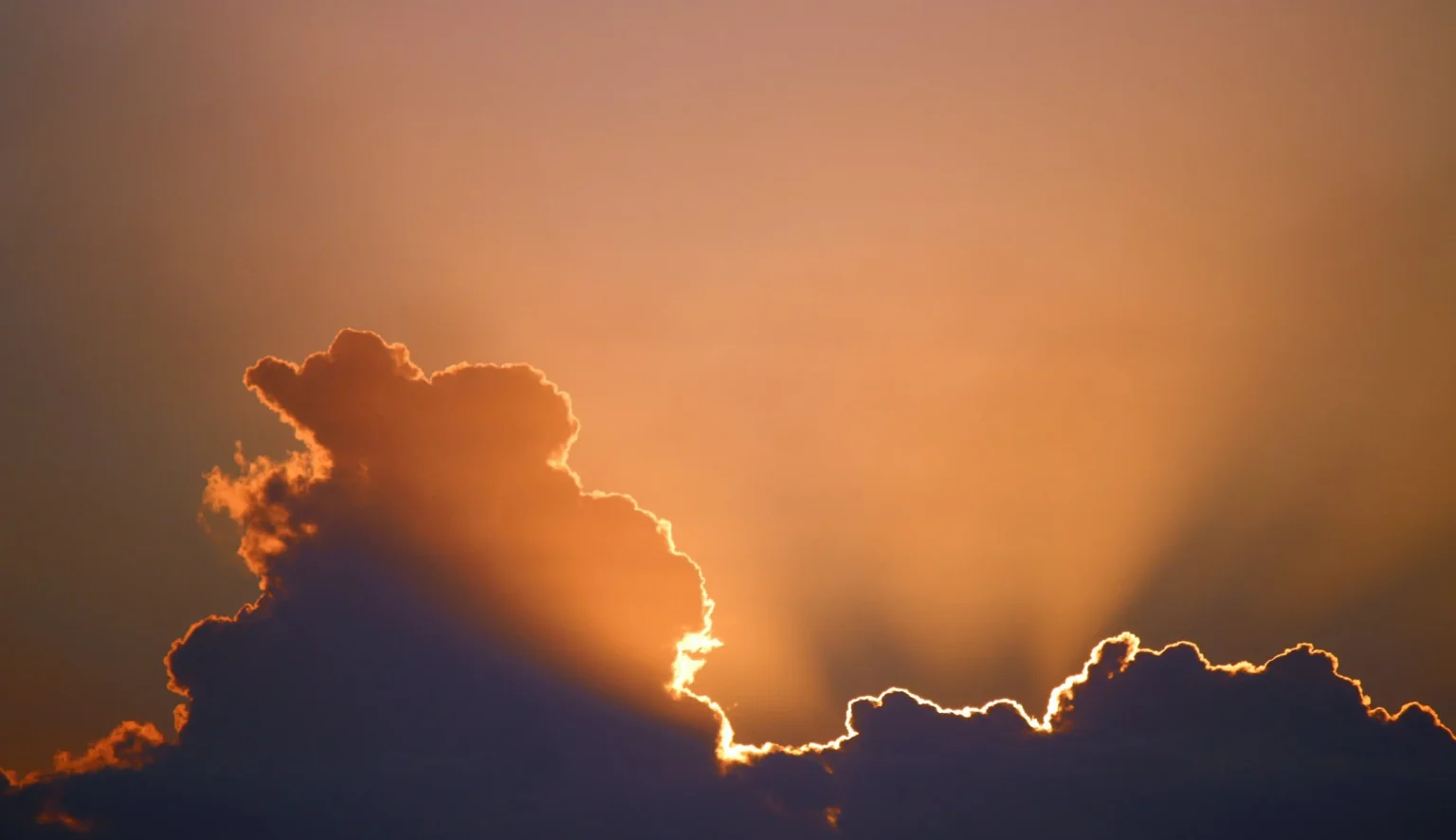 img-5f5fa198488f004d5b607d4c